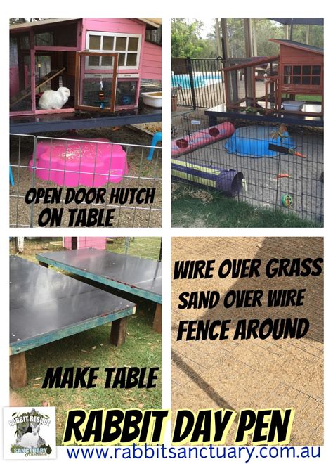 Rabbit Rescue Sanctuary Dig Proof Rabbit Day Pen And Hutch With Open Door