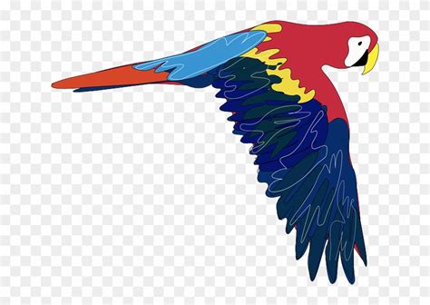 Parrot Clipart Colourful Parrot Parrot Colourful Parrot Transparent