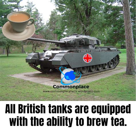 What Starts With ‘t And Makes Tea Commonplace Fun Facts