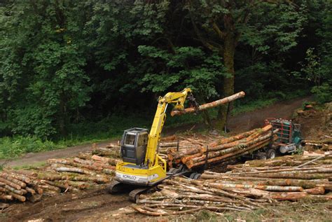 Logging Forest Management Lee Levanen Logging Co