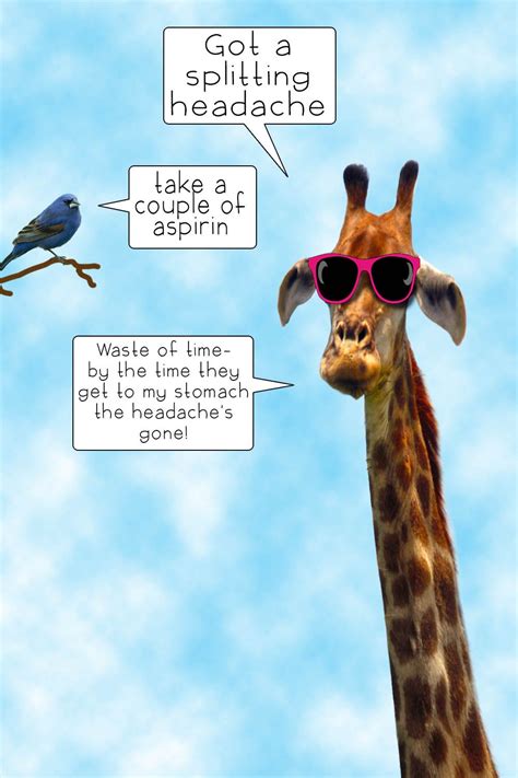 A Giraffe With A Headache In 2020 Funny Cartoons Animal Memes Humor