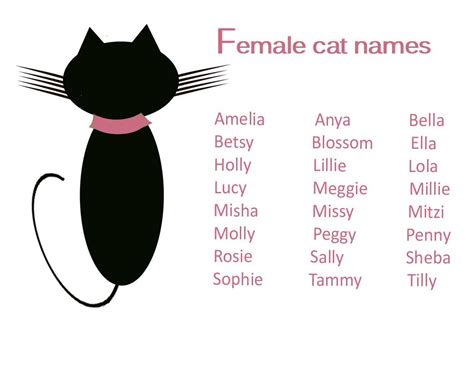 Female Cat Names Telegraph