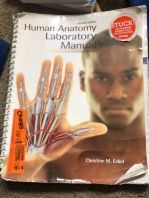 Human Anatomy Lab Manual 2nd Edition Christine Eckel Ebay