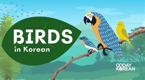 Birds In Korean Names Of Feathered Animals In Hangul Allaboutkorea
