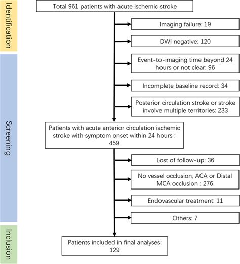 Patient Selection Flowchart Flowchart Of Patient Selection And