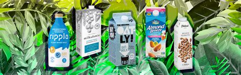 A Complete Guide To Every Plant Based Milk On The Market And What They