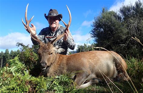 New Zealand Sika Deer Hunting And Outfitters Poronui Hunting Lodge