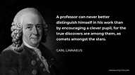 Carl Linnaeus Quote: A professor can never better distinguish himself ...