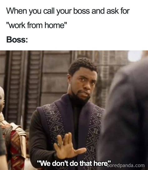 Submit To These Boss Memes 30 Pics