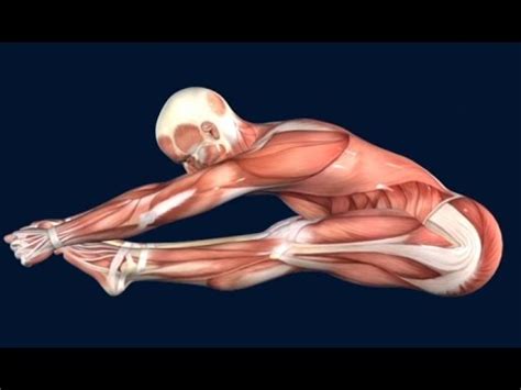 How to Pike Jump Muscle Anatomy EasyFlexibility - YouTube