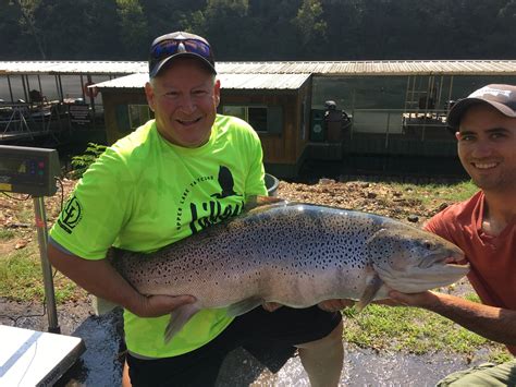 Mdc Confirms New State Record Brown Trout Caught At Lake Taneycomo