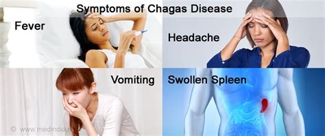 Chagas Disease Causes Symptoms Diagnosis Treatment Prevention