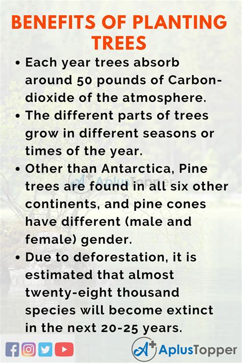 Benefits Of Planting Trees Essay Essay On Benefits Of Planting Trees