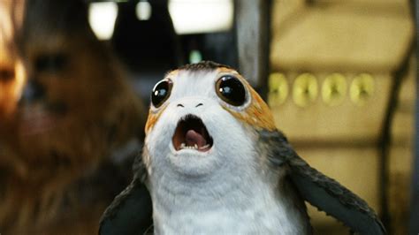 Porgs Only Exist Because Star Wars The Last Jedi Couldnt Get Rid Of