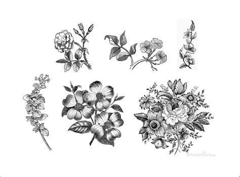 Vintage Black And White Floral 6 Temporary Tattoos By Pepperink Vintage