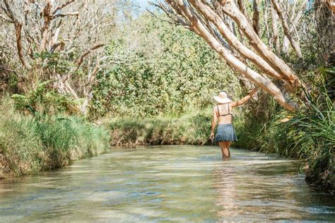 Eli Creek On Kgari Fraser Island Whale Tours