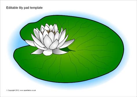 Editable Lily Pad Template Sb8458 Sparklebox Lily Pads Lily