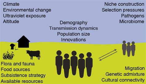 Cultural Evolutionary Theory How Culture Evolves And Why It Matters Pnas