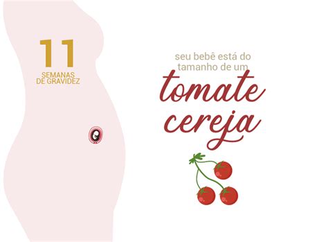 Sintomas De Gravidez Com 11 Semanas
