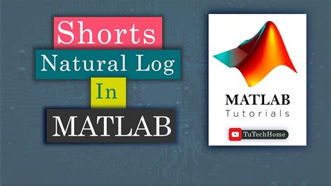 How To Take Natural Log Ln In Matlab Programming Language Short