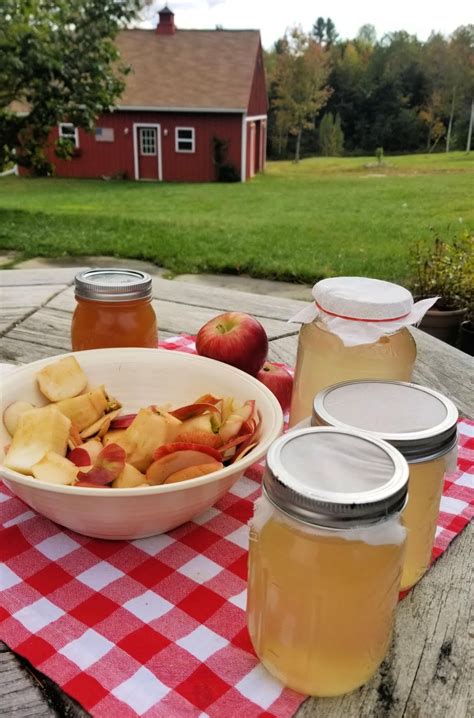 Homemade raw apple cider vinegar is easy to make! Make your own Homemade Apple Cider Vinegar | Fresh Eggs Daily®