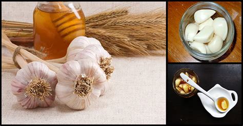 Immune Boosting Garlic And Honey Recipe Dr Farrah Md