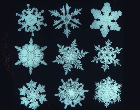 Magnified Snowflakes Snow Crystal Snowflake Photos Natural History
