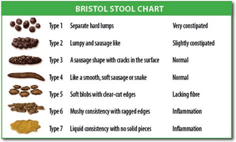 Textures Of Poop And What They Mean Bristol Stool Chart Ph