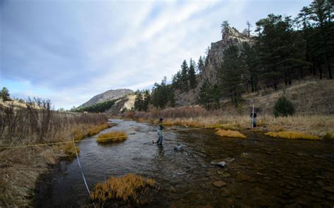 River is about the feeling of being closer to that special one, along with the feeling of shut up and just kiss me in the face of turmoil. To boost Poudre River flows, cities, conservationists ...