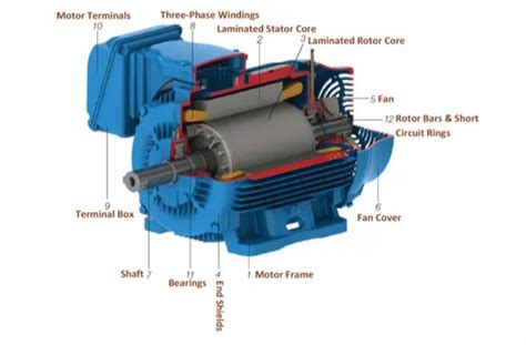 Three Phase 160 Kw Ht Lt Motor Spares 3000 Rpm At Best Price In