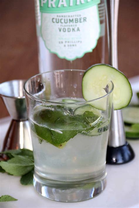 Tangy, refreshing and sparkling all at once. Summer Vodka Drink … Cleanse (?) - Dan330