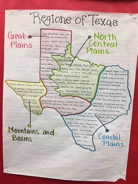 Regions Of Texas Anchor Chart Texastwinkies In 2020 With Images