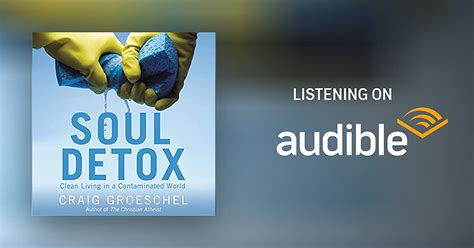 Soul Detox By Craig Groeschel Audiobook