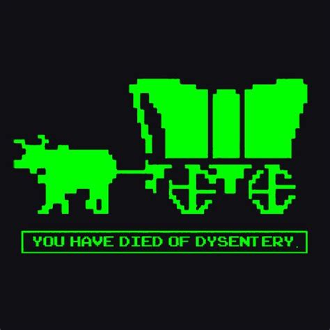 You Have Died Of Dysentery T Shirt Oregon Trail Video Game Quotes