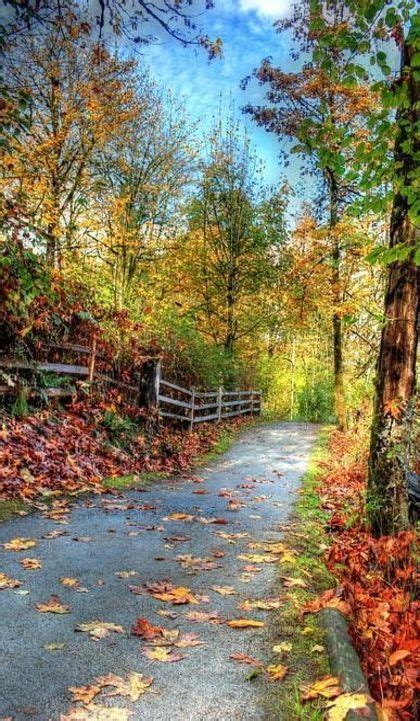Free Image On Pixabay Trail Nature Landscape Autumn