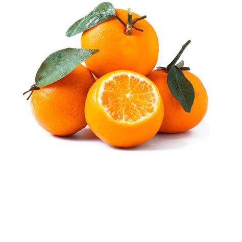 Tangerine Orange Zaroon Trading