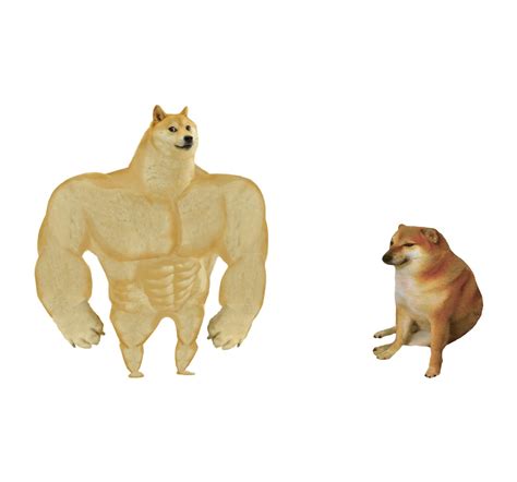 Strong Doge Vs Weak Doge Meme Template Meme Template Animal Memes