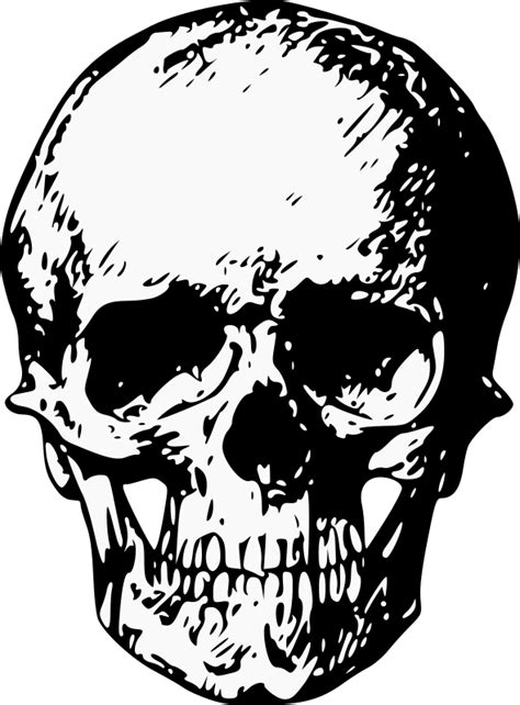 Skull Openclipart