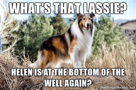 Lassie Meme The Bassic Sax Blog