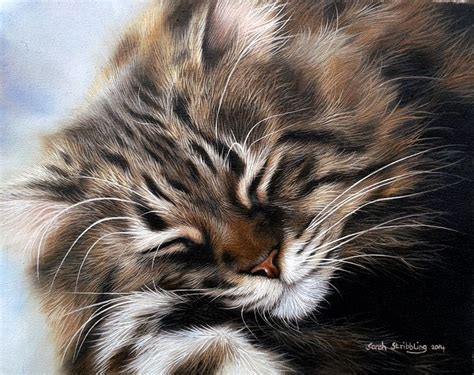 Sarah Stribbling Wildlife Art Gallery Pet Portraits Cat Painting