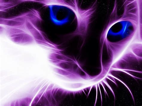 Cool Purple Cat Purple Love Neon Cat Purple Animals Cat Wallpaper