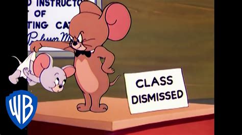 Tom And Jerry Professor Jerry Classic Cartoon Compilation Wb Kids