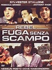 Rebel Fuga Senza Scampo: Amazon.it: Page Stallone: Film e TV