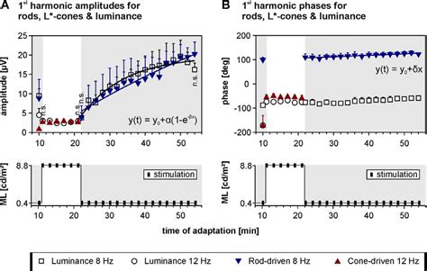 Comparison Of First Harmonics Of Responses To Luminance Modulation With