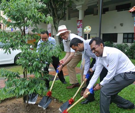 Ich habe eine frage zu 1001 garden plants in singapore. Tree Planting in Singapore - Professor David Veale