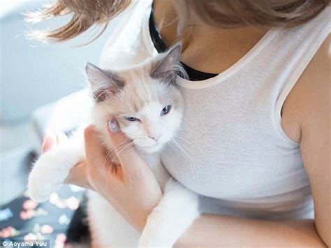 Japanese Photographer Releases Book Of Breasts And Cats Daily Mail Online