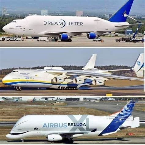 A380 Vs Airbus Beluga Xl