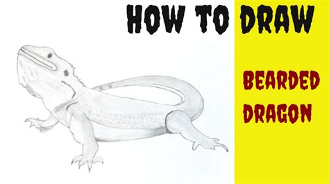 How To Draw A Bearded Dragon Lizard Step By Step Easy Youtube