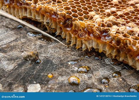 Section Of Wax Honeycomb From Beehive On The Vintage Wooden Background