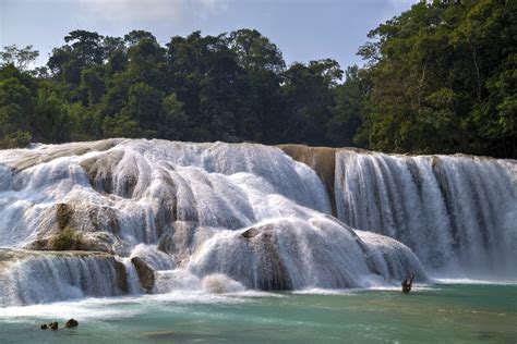 Agua Azul And Misol Ha Travel Chiapas Mexico Lonely Planet